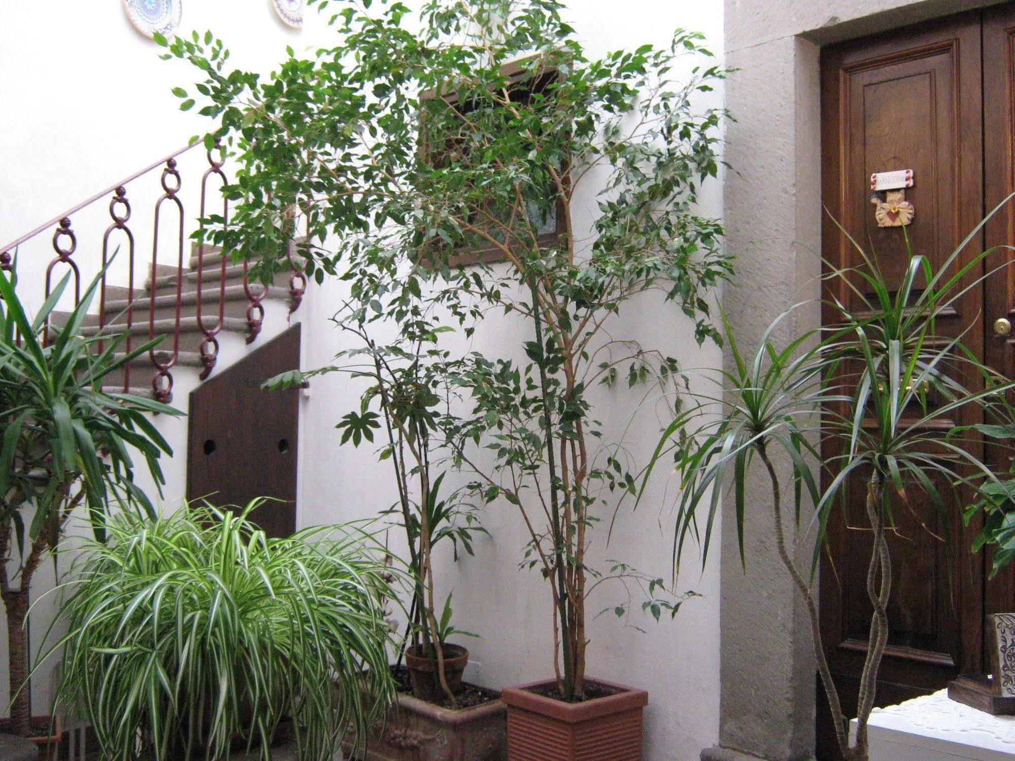 Bed and Breakfast Bb Santa Rosa à Viterbe Extérieur photo